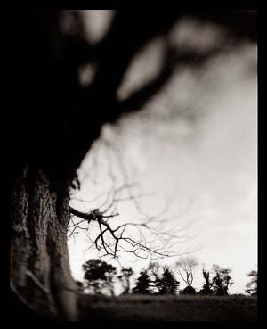 photography by Derek Mohr