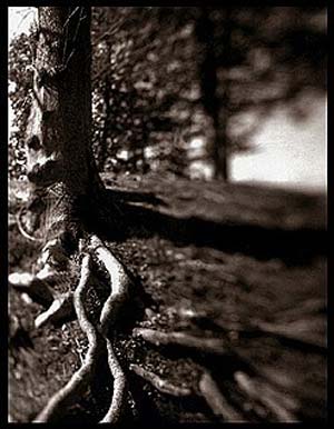 photography by Derek Mohr