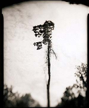 photography by Derek Mohr