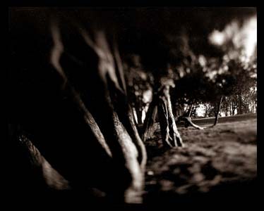 photography by Derek Mohr