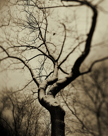 photography by Derek Mohr