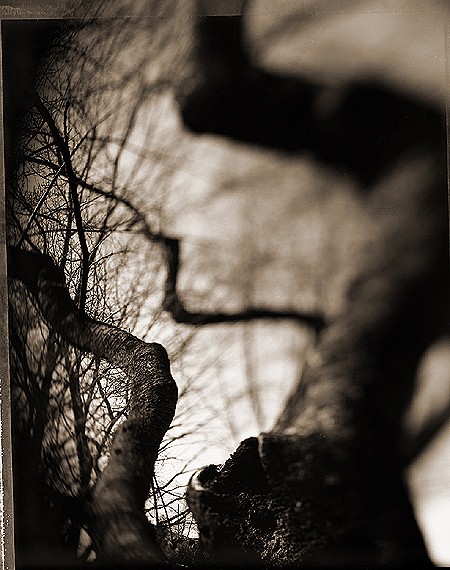 photography by Derek Mohr