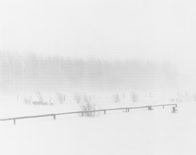 photography by Daniel Anizon