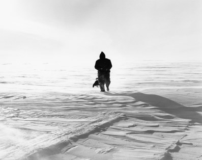 photography by Daniel Anizon