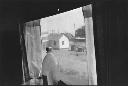 photography by Daniel Anizon