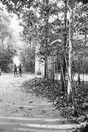 photography by Daniel Anizon