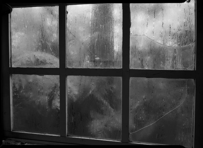 photography by Kate Baker