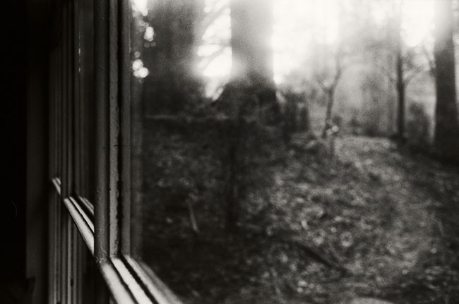 photography by Kate Baker