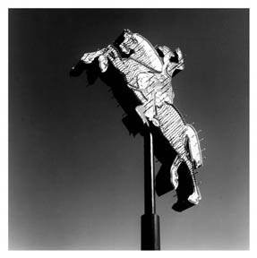 photography by Charlie Bidwell
