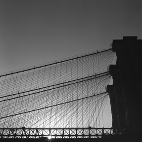 photography by Charlie Bidwell