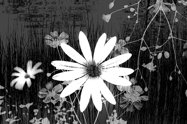 photography by Robin Fader