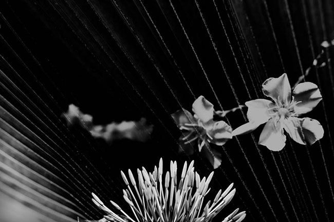 photography by Robin Fader