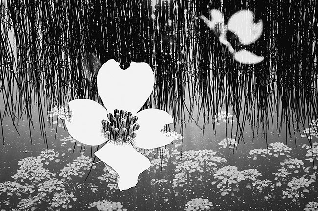 photography by Robin Fader