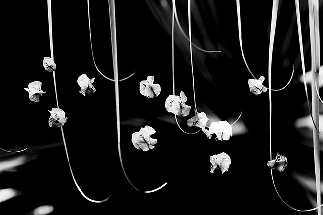 photography by Robin Fader