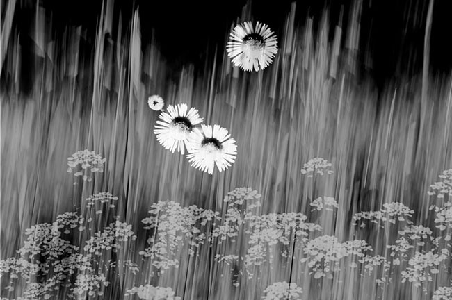 photography by Robin Fader