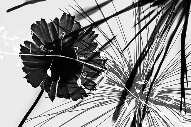 photography by Robin Fader