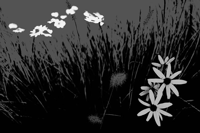 photography by Robin Fader