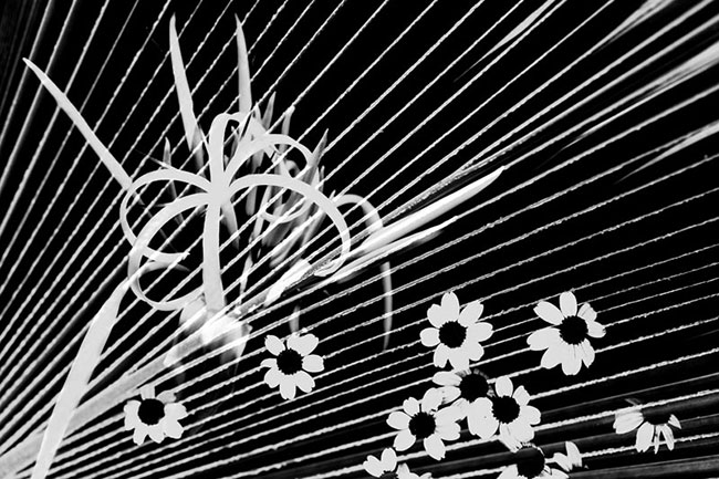 photography by Robin Fader