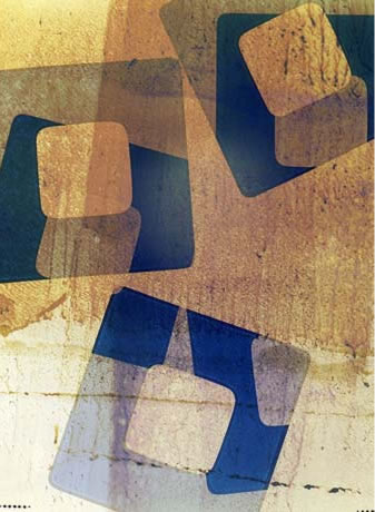 photography by Millie Falcaro