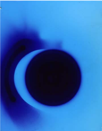 photography by Millie Falcaro