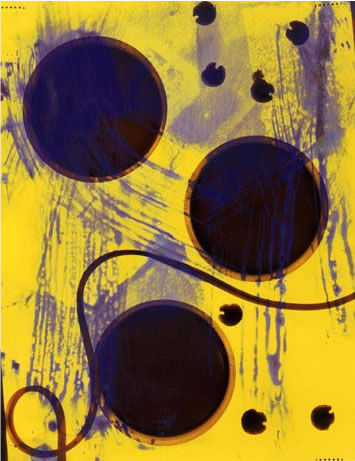 photography by Millie Falcaro