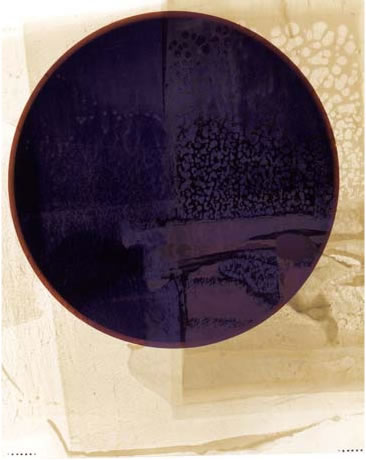 photography by Millie Falcaro