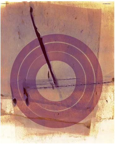 photography by Millie Falcaro