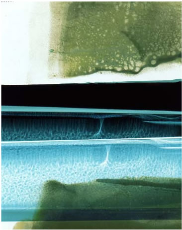 photography by Millie Falcaro