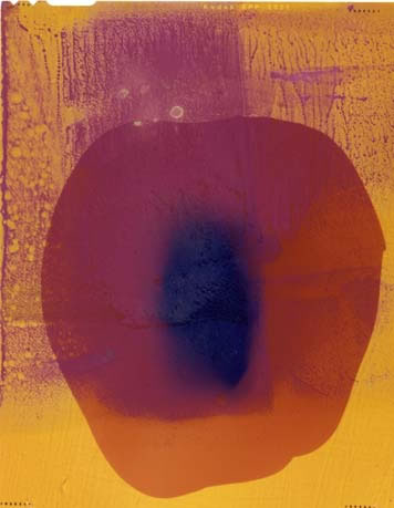 photography by Millie Falcaro