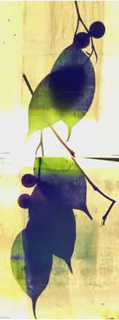 photography by Millie Falcaro