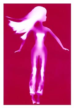 photography by Millie Falcaro