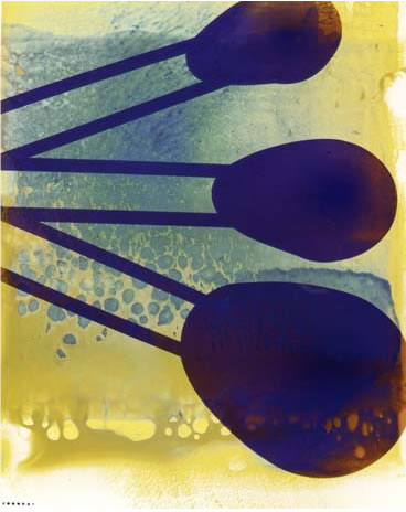 photography by Millie Falcaro