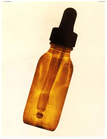 photography by Millie Falcaro