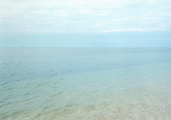 photography by Carol Fonde