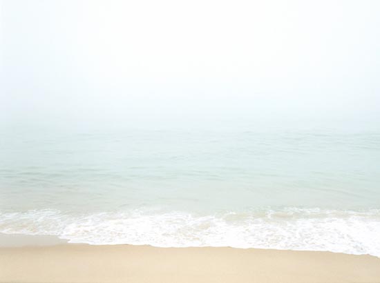 photography by Carol Fonde