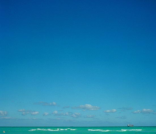 photography by Carol Fonde