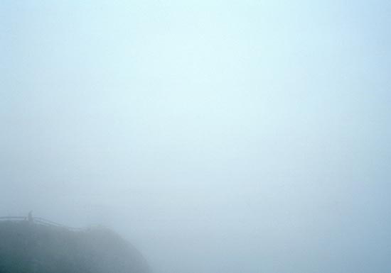 photography by Carol Fonde