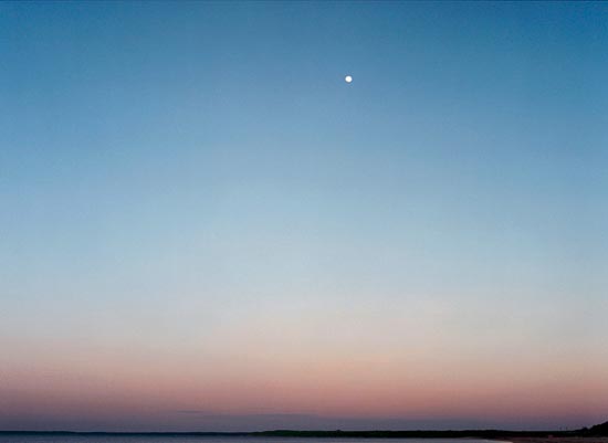 photography by Carol Fonde