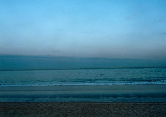 photography by Carol Fonde