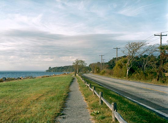 photography by Carol Fonde