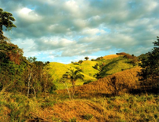 photography by Carol Fonde