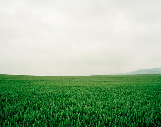 photography by Carol Fonde