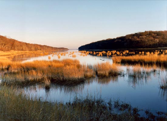 photography by Carol Fonde