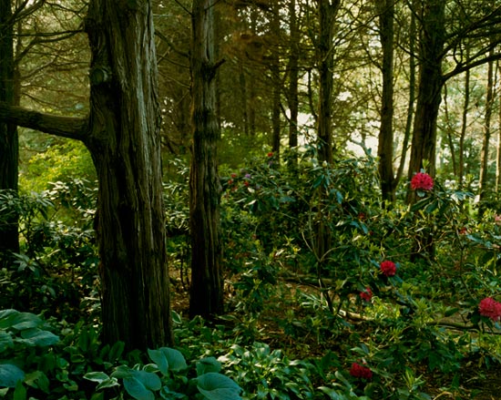 photography by Carol Fonde