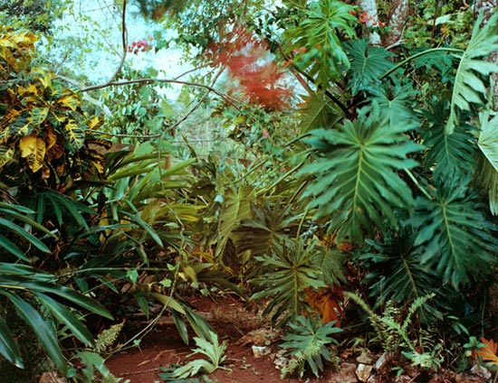 photography by Carol Fonde