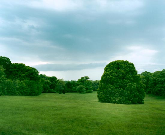 photography by Carol Fonde