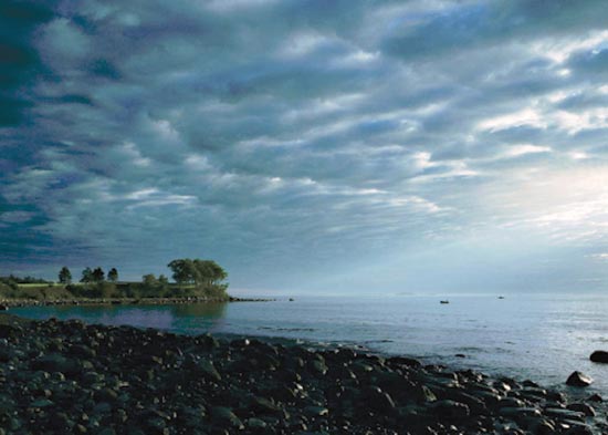 photography by Carol Fonde