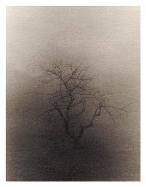 photography by Victor Friedman