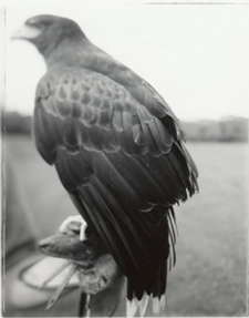 photography by Alice Garik