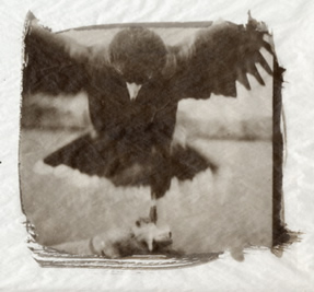 photography by Alice Garik